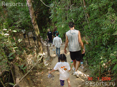 Koh Chang Grand Orchid Resort & Spa 43